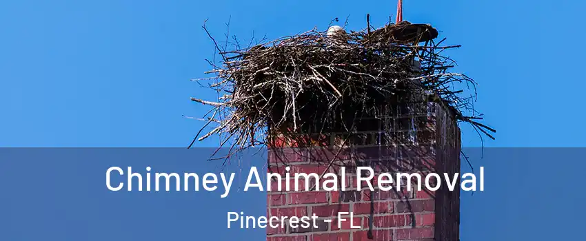  Chimney Animal Removal Pinecrest - FL