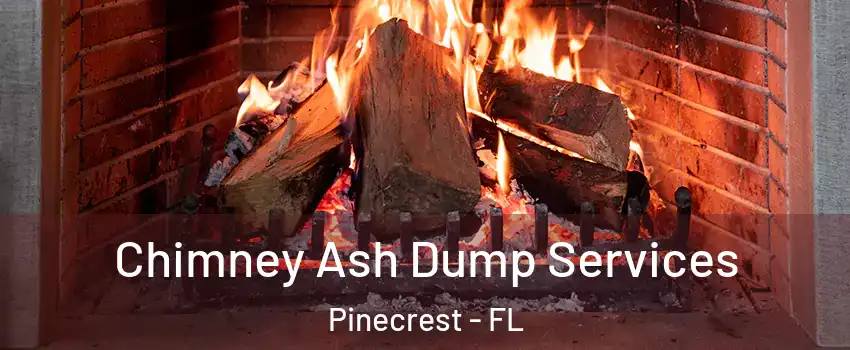  Chimney Ash Dump Services Pinecrest - FL