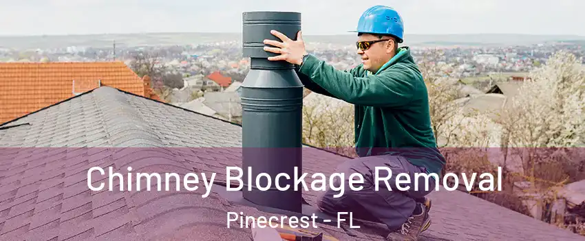  Chimney Blockage Removal Pinecrest - FL