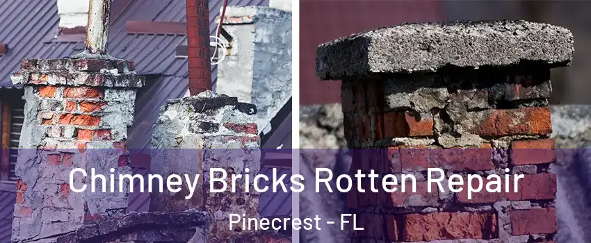  Chimney Bricks Rotten Repair Pinecrest - FL