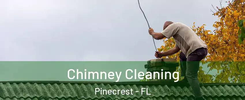  Chimney Cleaning Pinecrest - FL