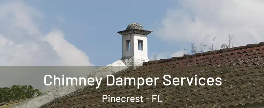  Chimney Damper Services Pinecrest - FL