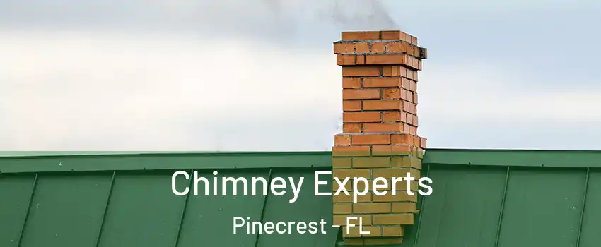  Chimney Experts Pinecrest - FL