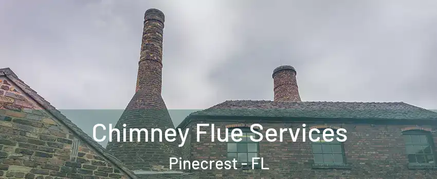  Chimney Flue Services Pinecrest - FL