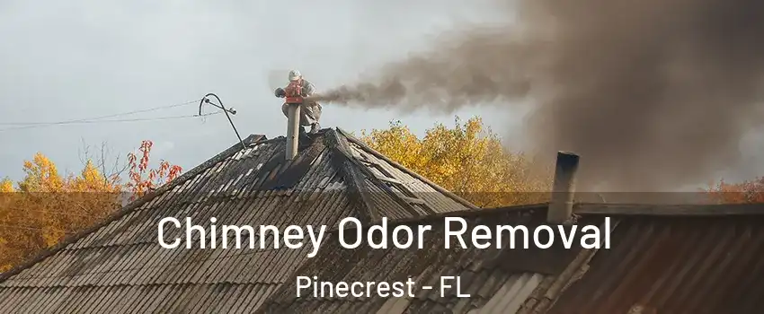  Chimney Odor Removal Pinecrest - FL