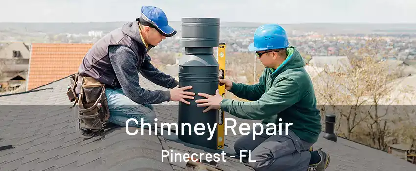  Chimney Repair Pinecrest - FL
