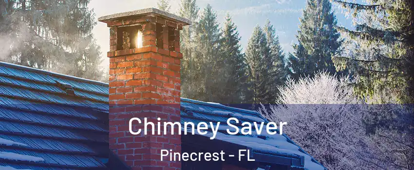  Chimney Saver Pinecrest - FL