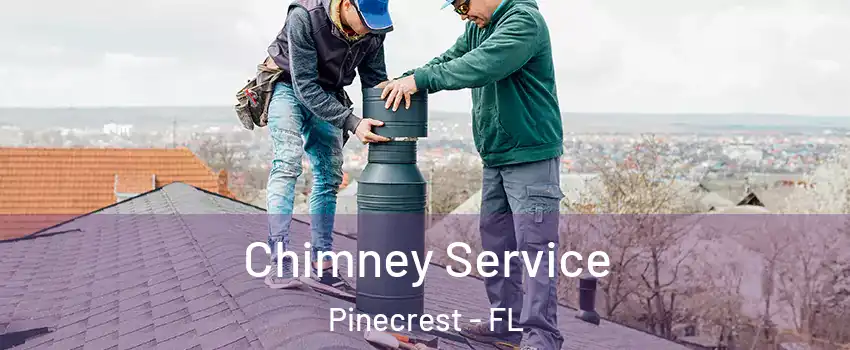  Chimney Service Pinecrest - FL