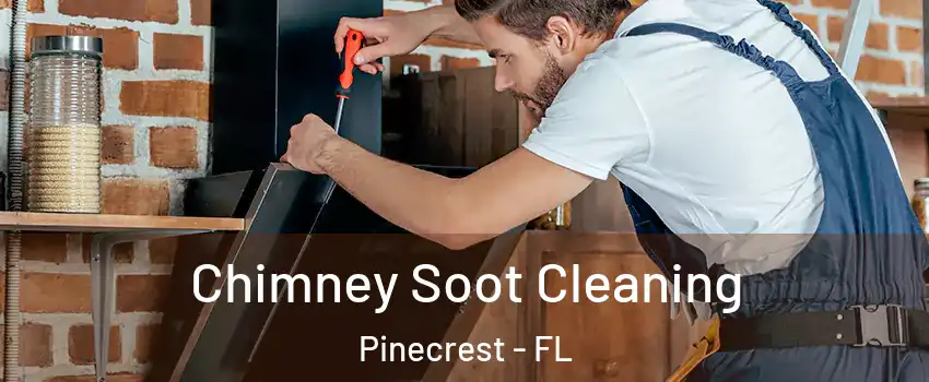  Chimney Soot Cleaning Pinecrest - FL