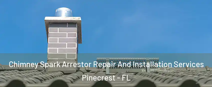  Chimney Spark Arrestor Repair And Installation Services Pinecrest - FL