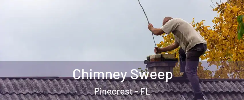 Chimney Sweep Pinecrest - FL