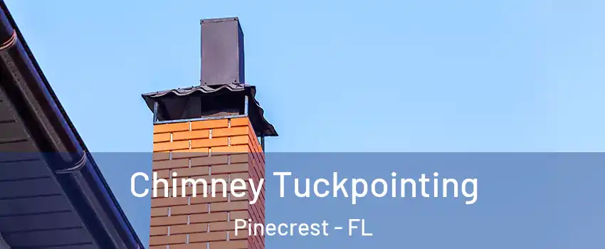  Chimney Tuckpointing Pinecrest - FL
