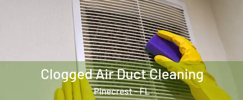  Clogged Air Duct Cleaning Pinecrest - FL