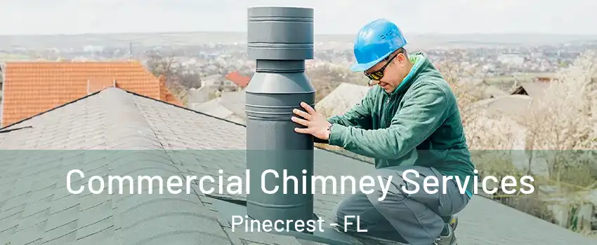  Commercial Chimney Services Pinecrest - FL