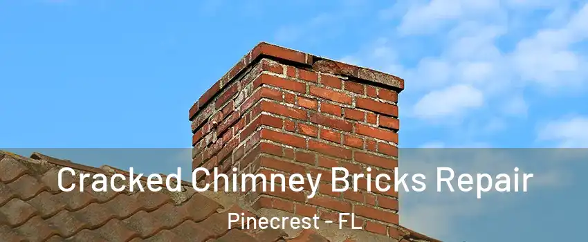  Cracked Chimney Bricks Repair Pinecrest - FL
