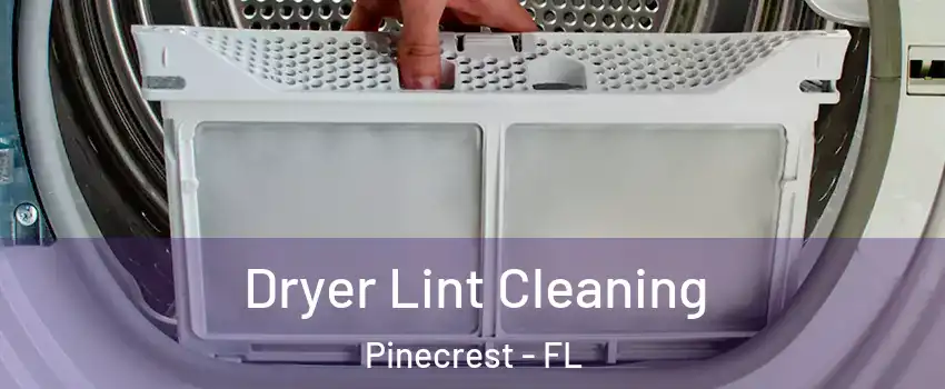 Dryer Lint Cleaning Pinecrest - FL