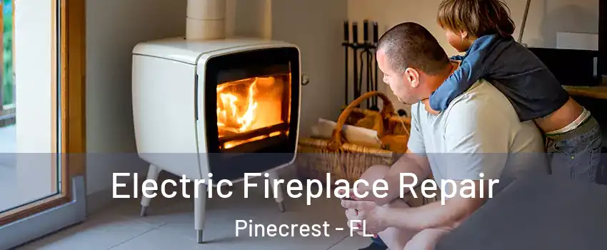  Electric Fireplace Repair Pinecrest - FL