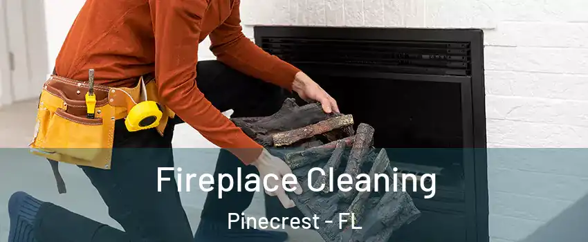  Fireplace Cleaning Pinecrest - FL