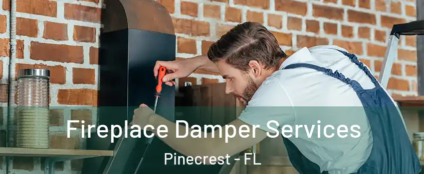  Fireplace Damper Services Pinecrest - FL