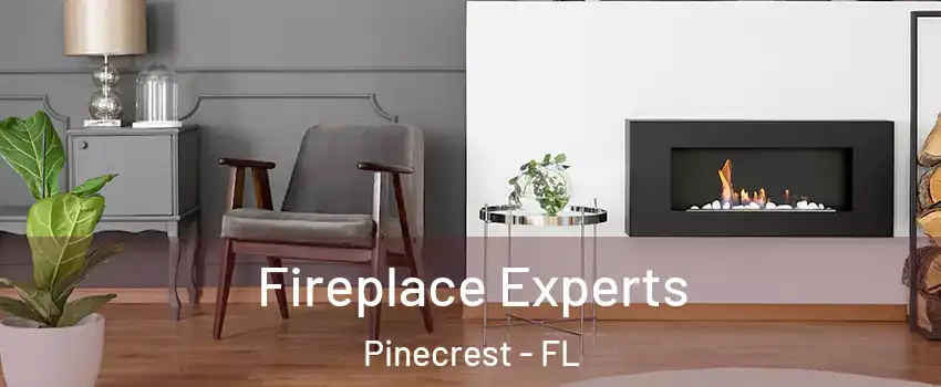  Fireplace Experts Pinecrest - FL