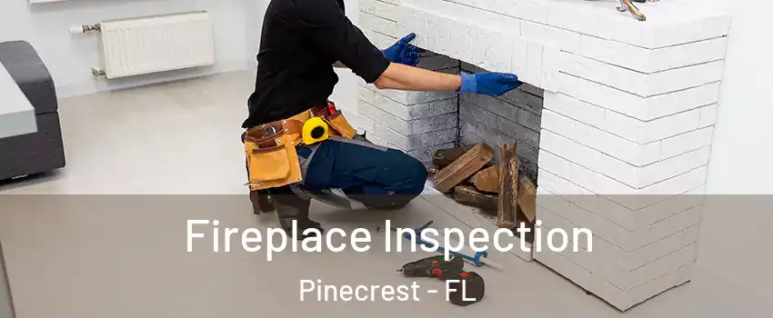  Fireplace Inspection Pinecrest - FL