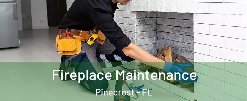 Fireplace Maintenance Pinecrest - FL