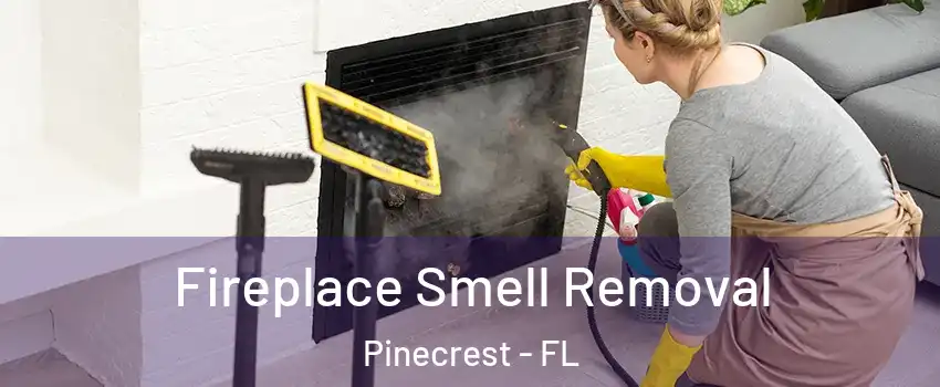 Fireplace Smell Removal Pinecrest - FL