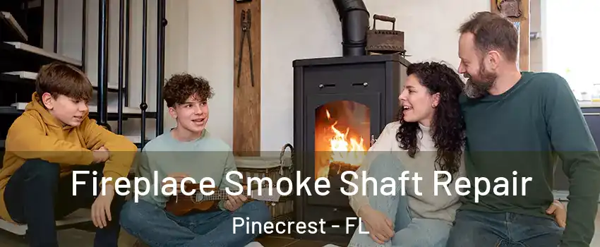  Fireplace Smoke Shaft Repair Pinecrest - FL