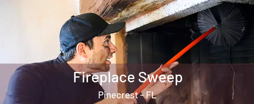  Fireplace Sweep Pinecrest - FL