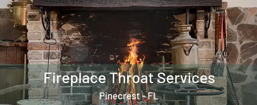  Fireplace Throat Services Pinecrest - FL