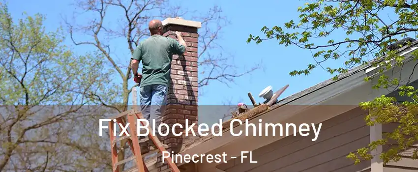  Fix Blocked Chimney Pinecrest - FL