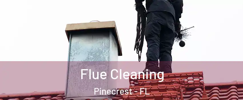  Flue Cleaning Pinecrest - FL