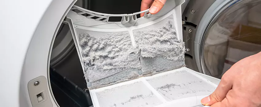 Best Dryer Lint Removal Company in Pinecrest, Florida