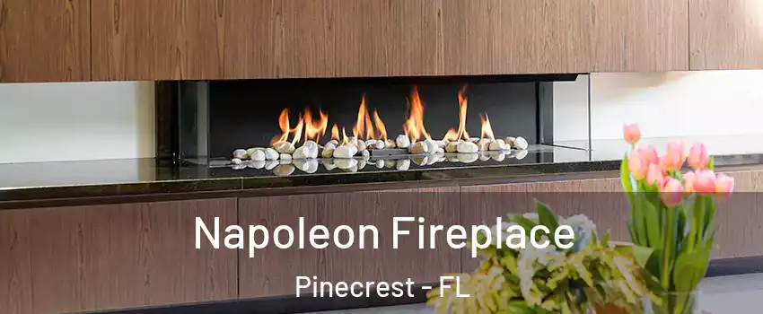 Napoleon Fireplace Pinecrest - FL