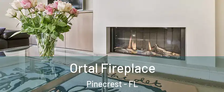  Ortal Fireplace Pinecrest - FL