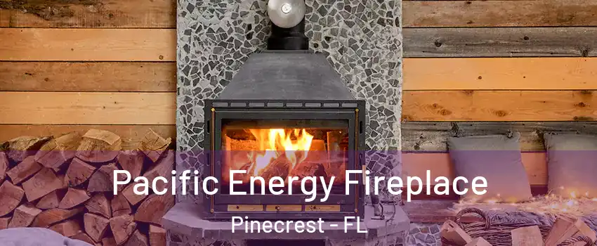  Pacific Energy Fireplace Pinecrest - FL